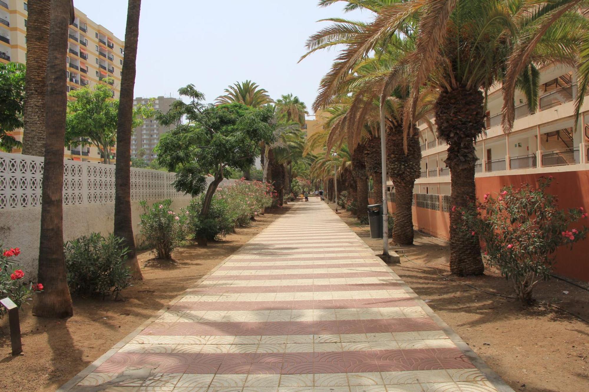 Cristianos - Two Bedrooms - Flayla-c
